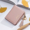 Carrken2019 new frosted versatile Korean version change bag multi card buckle short zipper women's wallet 