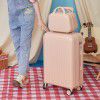Luggage 24 inch trolley box, women's small lightweight universal wheel password box 