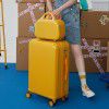 Luggage 24 inch trolley box, women's small lightweight universal wheel password box 