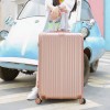 Luggage, female student, trolley box, male universal wheel, high aesthetic value, durable password, boarding, travel box, box 