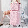 Trolley box, male and female student luggage, zipper box, leather box, boarding travel box 